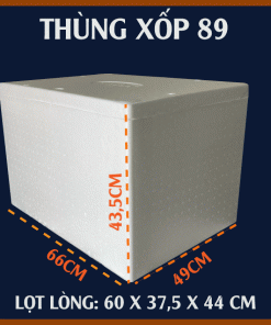 THÙNG XỐP 89