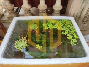 mua thung xop quan dong da