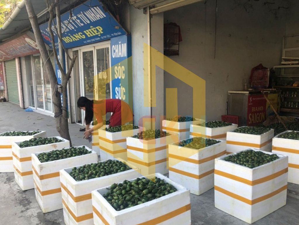 mua thung xop quan hoang mai