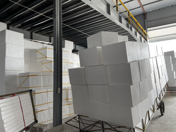 Sản xuất thùng xốp Tiến Phong