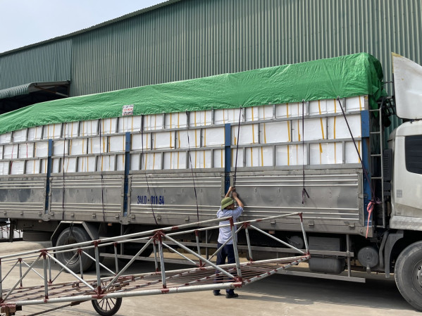 Thùng xốp Tiến Phong Vận chuyển Thùng xốp lên xe vận chuyển giao khách hàng