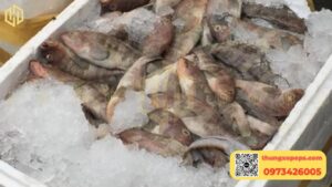 Thùng xốp đựng nước đá: Cách chọn và bảo quản giữ lạnh lâu