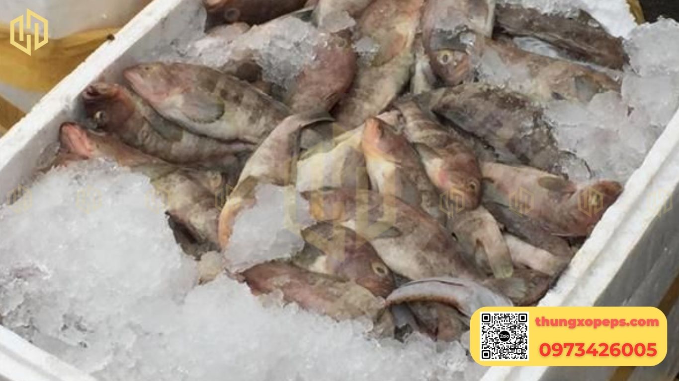 Thùng xốp đựng nước đá: Cách chọn và bảo quản giữ lạnh lâu