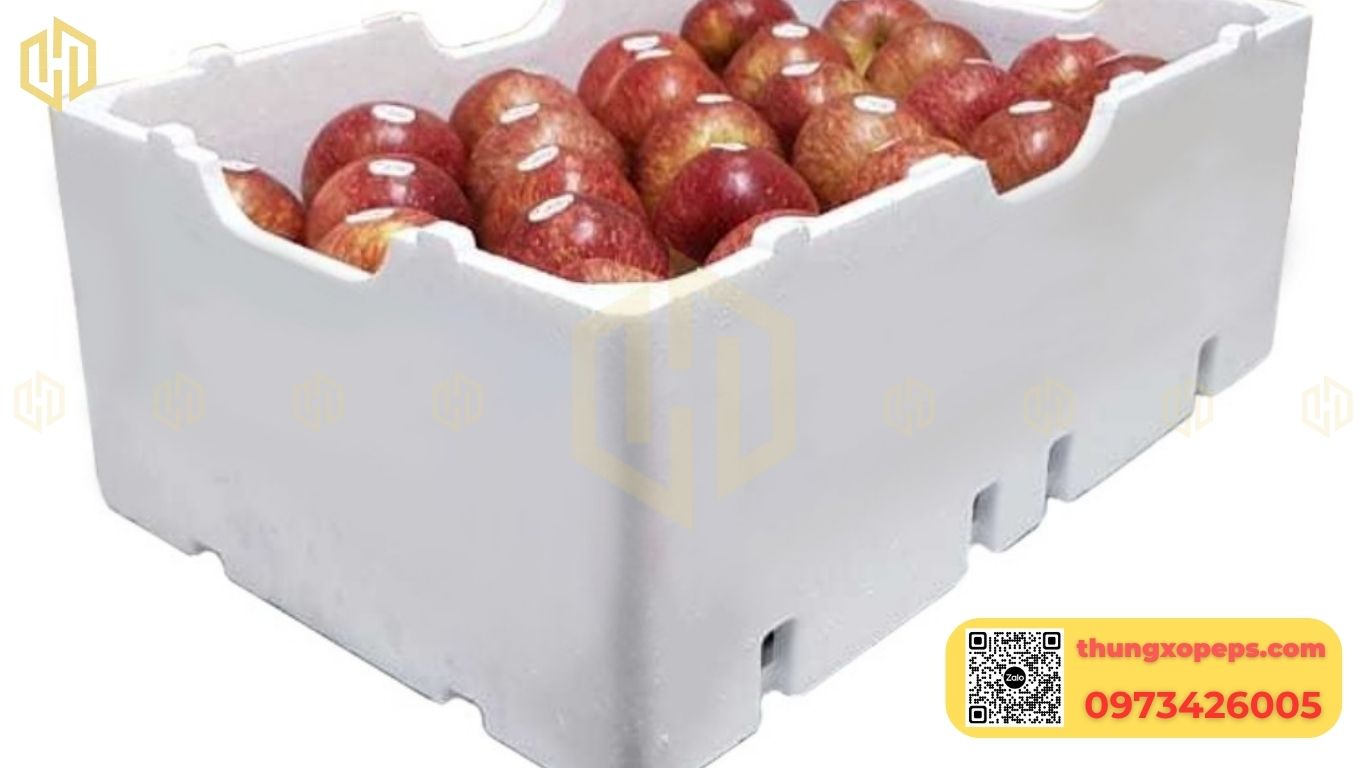 Thùng xốp đựng hoa quả: Cách chọn và bảo quản trái cây