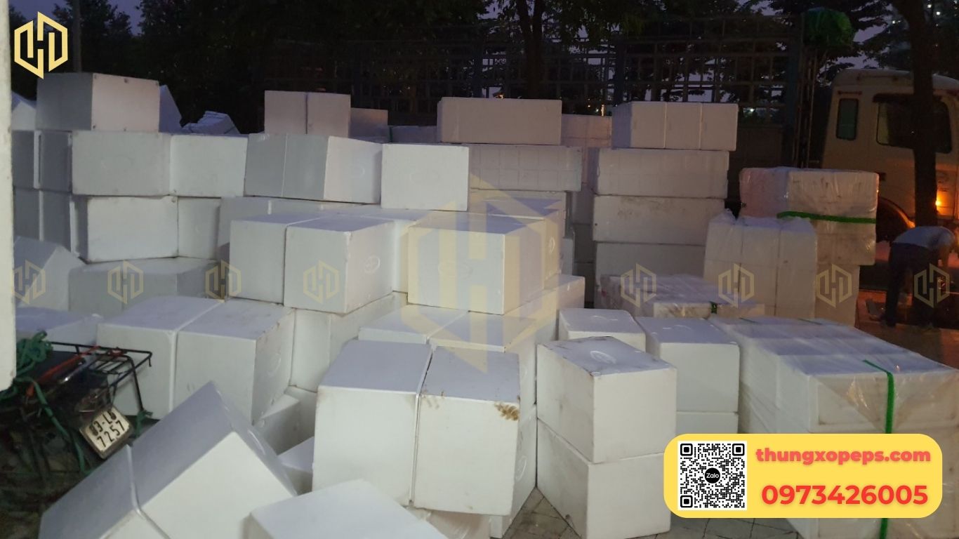 Lưu Ý Môi Trường Và Tái Sử Dụng Thùng Xốp EPS