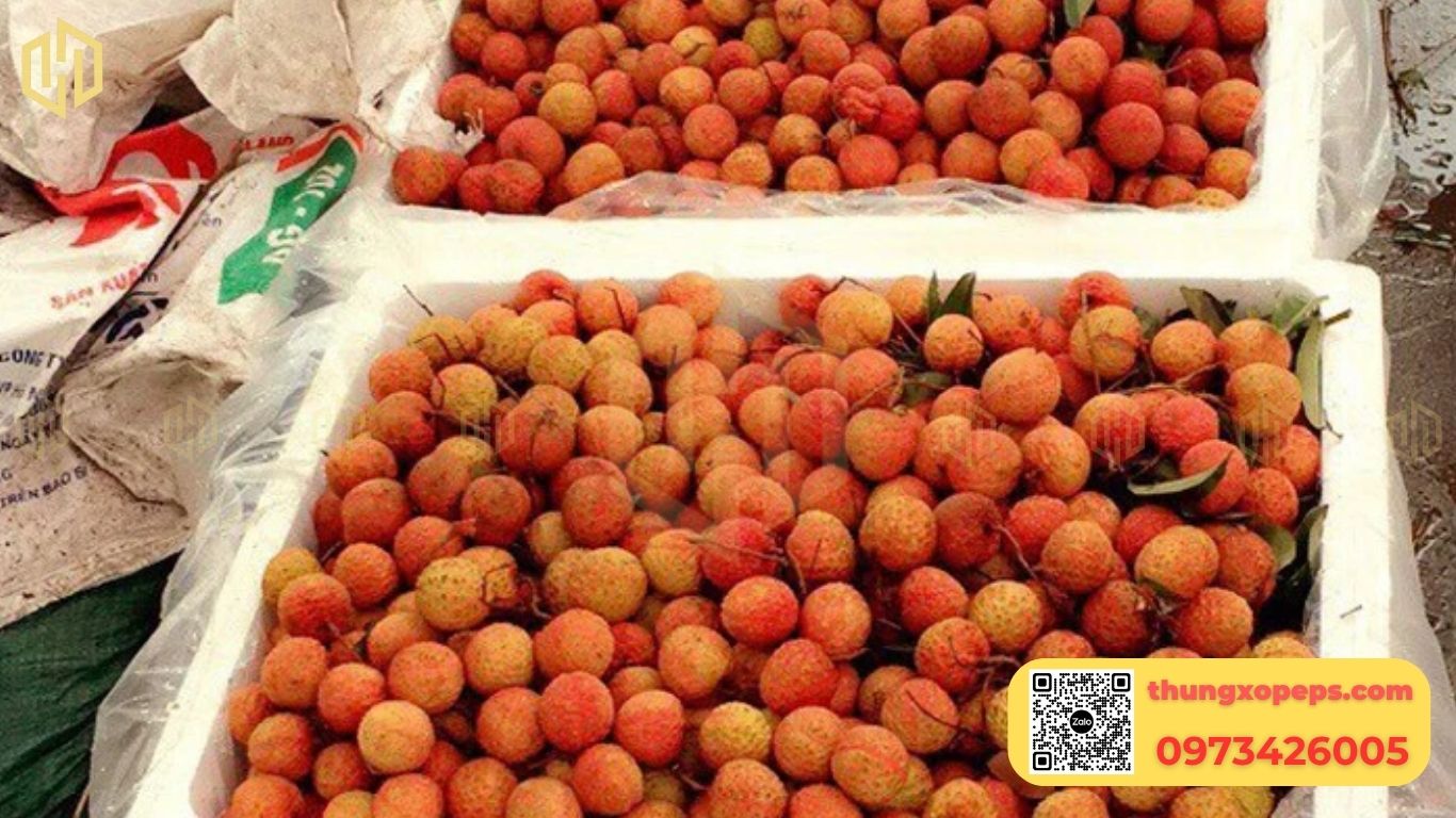 Thùng xốp đựng vải thiều 5kg, 10kg, cách đóng gói với đá gel và bảo quản vải đi xa. Liên hệ Tiến Phong để nhận báo giá tốt nhất