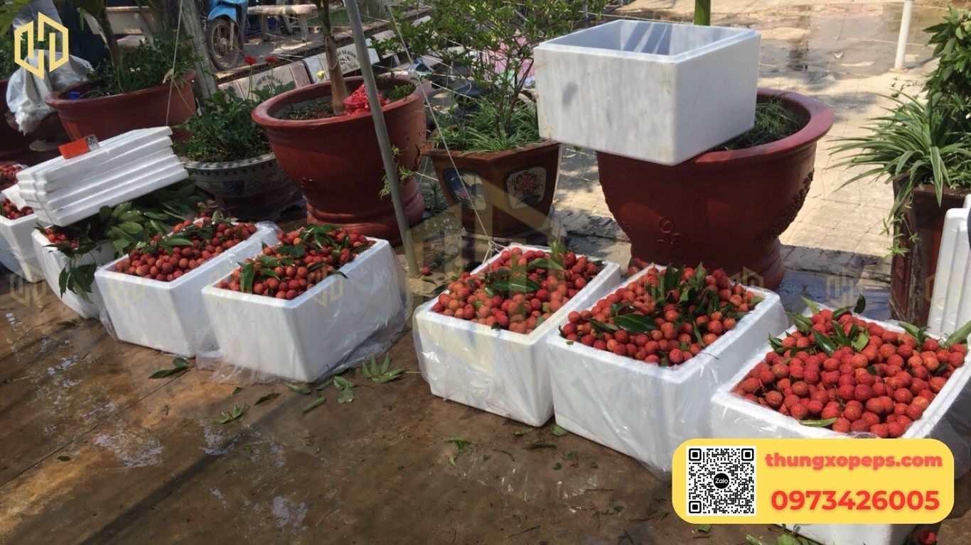 Thùng xốp đựng vải thiều: Giữ vải tươi khi vận chuyển, xuất khẩu